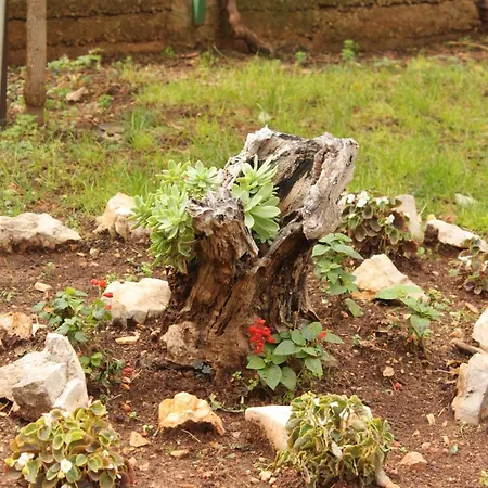 Tribunj 7117b Lejlighed Tribalj