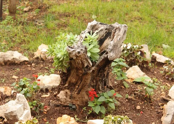 Tribunj 7117b דירה Tribalj